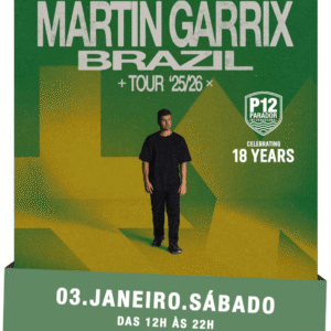 P12 Martin Garrix