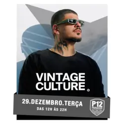 P12 Vintage Culture