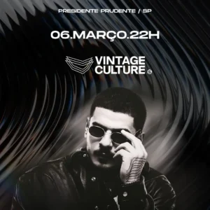 Vintage Culture P Prudente