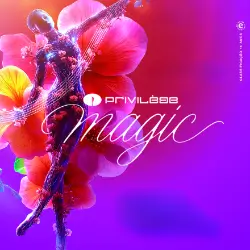 Privilège Magic