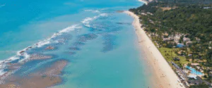 Sundance Festival 2026: Guia completo. Sundance Festival Arraial D'ajuda